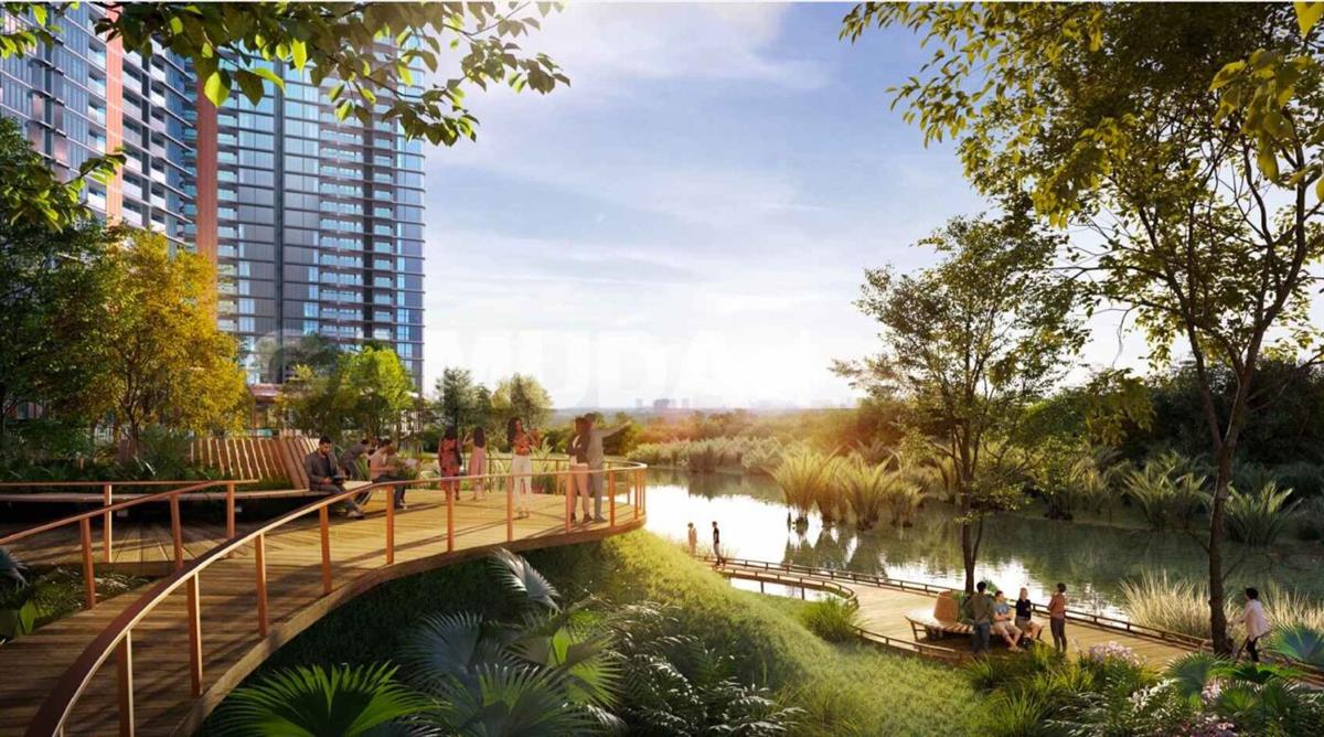 Hệ sinh thái thương mại – giáo dục – y tế quanh Norton Park